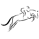 Activités 2