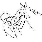 Activités 3