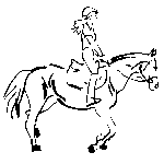 Activités 4