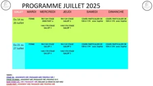 programmes ete juillet 2025 3 1024x576