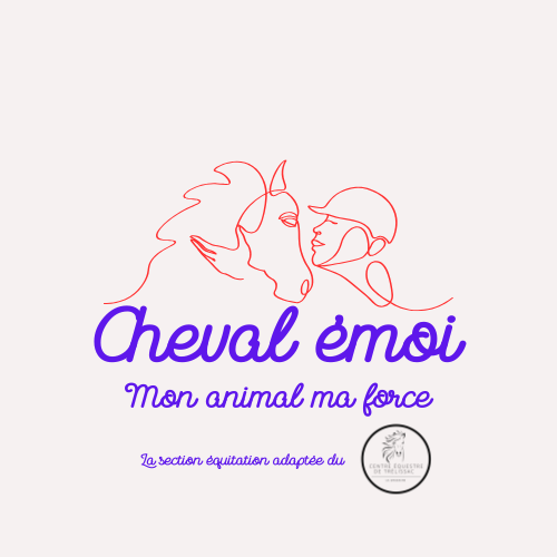 Activités cheval émoi